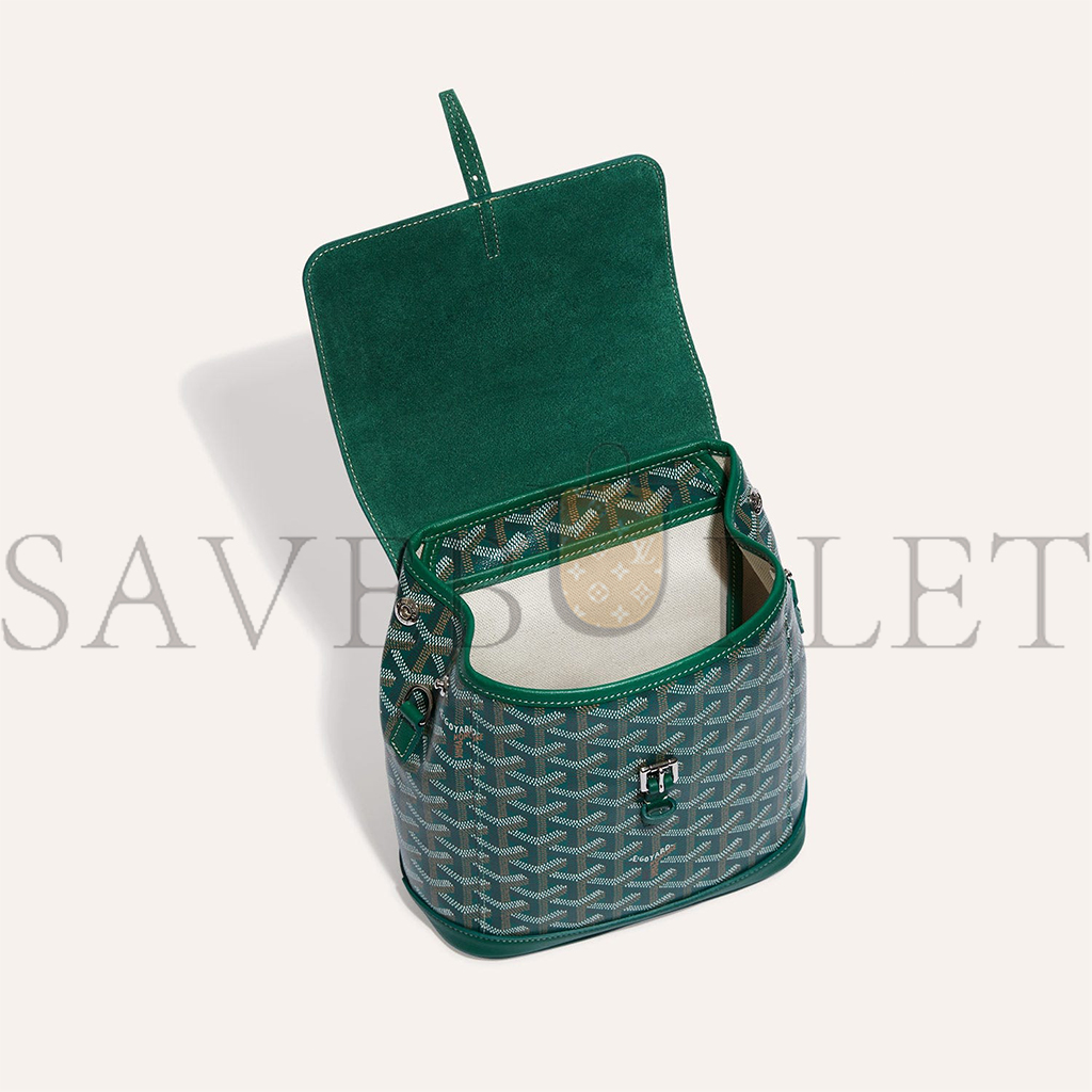 GOYARD ALPIN MINI BACKPACK ALPIN2MINTY09CL09P (23*19*9.5cm)